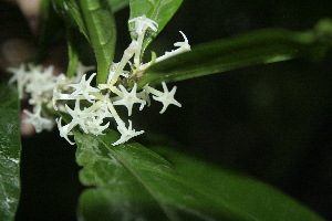  ( - BioBot10133)  @11 [ ] Copyright (2010) Unspecified Unspecified