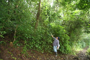  ( - BioBot10140)  @11 [ ] Copyright (2010) Unspecified Unspecified