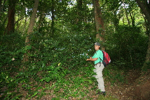  ( - BioBot10223)  @11 [ ] CreativeCommons - Attribution Non-Commercial Share-Alike (2011) Daniel H. Janzen Guanacaste Dry Forest Conservation Fund