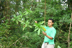  ( - BioBot10227)  @11 [ ] CreativeCommons - Attribution Non-Commercial Share-Alike (2011) Daniel H. Janzen Guanacaste Dry Forest Conservation Fund