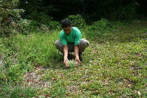  ( - BioBot10232)  @11 [ ] CreativeCommons - Attribution Non-Commercial Share-Alike (2011) Daniel H. Janzen Guanacaste Dry Forest Conservation Fund