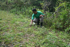  ( - BioBot10234)  @11 [ ] CreativeCommons - Attribution Non-Commercial Share-Alike (2011) Daniel H. Janzen Guanacaste Dry Forest Conservation Fund