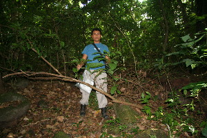  ( - BioBot10271)  @11 [ ] CreativeCommons - Attribution Non-Commercial Share-Alike (2011) Daniel H. Janzen Guanacaste Dry Forest Conservation Fund