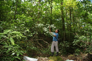  ( - BioBot10287)  @11 [ ] CreativeCommons - Attribution Non-Commercial Share-Alike (2011) Daniel H. Janzen Guanacaste Dry Forest Conservation Fund
