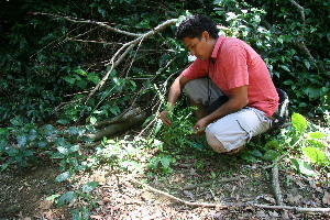  ( - BioBot10357)  @11 [ ] CreativeCommons - Attribution Non-Commercial Share-Alike (2011) Daniel H. Janzen Guanacaste Dry Forest Conservation Fund