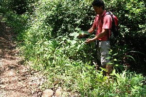  ( - BioBot10370)  @11 [ ] CreativeCommons - Attribution Non-Commercial Share-Alike (2011) Daniel H. Janzen Guanacaste Dry Forest Conservation Fund