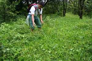  ( - BioBot10445)  @11 [ ] CreativeCommons - Attribution Non-Commercial Share-Alike (2011) Daniel H. Janzen Guanacaste Dry Forest Conservation Fund