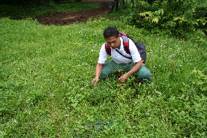  ( - BioBot10446)  @11 [ ] CreativeCommons - Attribution Non-Commercial Share-Alike (2011) Daniel H. Janzen Guanacaste Dry Forest Conservation Fund