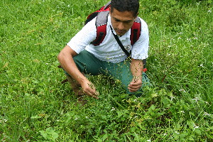  ( - BioBot10446)  @11 [ ] CreativeCommons - Attribution Non-Commercial Share-Alike (2011) Daniel H. Janzen Guanacaste Dry Forest Conservation Fund