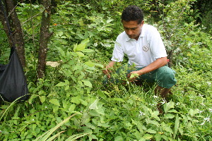  ( - BioBot10452)  @11 [ ] CreativeCommons - Attribution Non-Commercial Share-Alike (2011) Daniel H. Janzen Guanacaste Dry Forest Conservation Fund