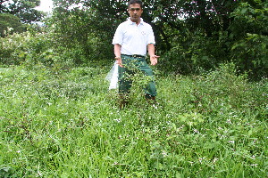  ( - BioBot10454)  @11 [ ] CreativeCommons - Attribution Non-Commercial Share-Alike (2011) Daniel H. Janzen Guanacaste Dry Forest Conservation Fund