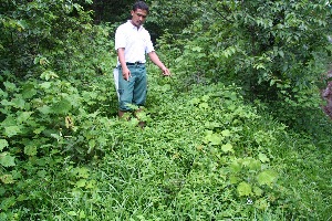  (Delilia - BioBot10464)  @11 [ ] CreativeCommons - Attribution Non-Commercial Share-Alike (2011) Daniel H. Janzen Guanacaste Dry Forest Conservation Fund