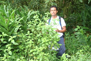  ( - BioBot10600)  @11 [ ] CreativeCommons - Attribution Non-Commercial Share-Alike (2011) Daniel H. Janzen Guanacaste Dry Forest Conservation Fund