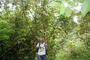  ( - BioBot10622)  @11 [ ] CreativeCommons - Attribution Non-Commercial Share-Alike (2010) Daniel H. Janzen Guanacaste Dry Forest Conservation Fund