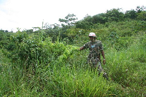  ( - BioBot10641)  @11 [ ] CreativeCommons - Attribution Non-Commercial Share-Alike (2010) Daniel H. Janzen Guanacaste Dry Forest Conservation Fund