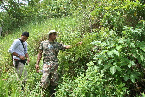  ( - BioBot10642)  @11 [ ] CreativeCommons - Attribution Non-Commercial Share-Alike (2010) Daniel H. Janzen Guanacaste Dry Forest Conservation Fund