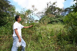  ( - BioBot10929)  @11 [ ] CreativeCommons - Attribution Non-Commercial Share-Alike (2010) Daniel H. Janzen Guanacaste Dry Forest Conservation Fund