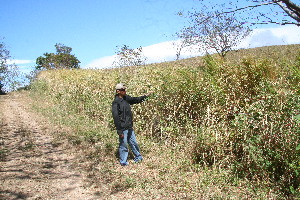  ( - BioBot10958)  @11 [ ] CreativeCommons - Attribution Non-Commercial Share-Alike (2010) Daniel H. Janzen Guanacaste Dry Forest Conservation Fund