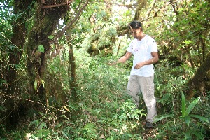  ( - BioBot10974)  @11 [ ] CreativeCommons - Attribution Non-Commercial Share-Alike (2010) Daniel H. Janzen Guanacaste Dry Forest Conservation Fund