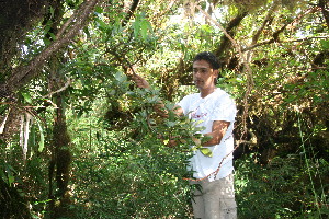  ( - BioBot10975)  @11 [ ] CreativeCommons - Attribution Non-Commercial Share-Alike (2010) Daniel H. Janzen Guanacaste Dry Forest Conservation Fund