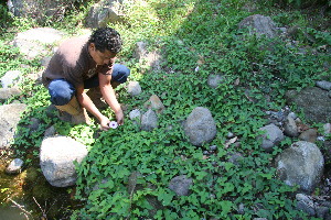  ( - BioBot10991)  @11 [ ] CreativeCommons - Attribution Non-Commercial Share-Alike (2010) Daniel H. Janzen Guanacaste Dry Forest Conservation Fund