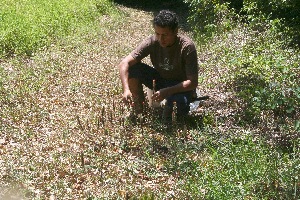  ( - BioBot11001)  @11 [ ] CreativeCommons - Attribution Non-Commercial Share-Alike (2010) Daniel H. Janzen Guanacaste Dry Forest Conservation Fund