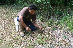  ( - BioBot11002)  @11 [ ] CreativeCommons - Attribution Non-Commercial Share-Alike (2010) Daniel H. Janzen Guanacaste Dry Forest Conservation Fund