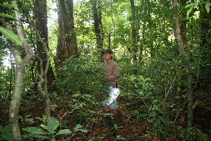  ( - BioBot11028)  @11 [ ] CreativeCommons - Attribution Non-Commercial Share-Alike (2010) Daniel H. Janzen Guanacaste Dry Forest Conservation Fund