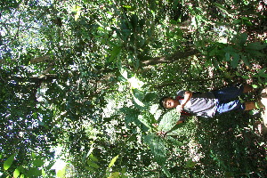  ( - BioBot11049)  @11 [ ] CreativeCommons - Attribution Non-Commercial Share-Alike (2010) Daniel H. Janzen Guanacaste Dry Forest Conservation Fund