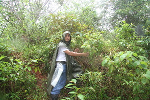  ( - BioBot11150)  @11 [ ] CreativeCommons - Attribution Non-Commercial Share-Alike (2010) Daniel H. Janzen Guanacaste Dry Forest Conservation Fund