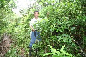  ( - BioBot11158)  @11 [ ] CreativeCommons - Attribution Non-Commercial Share-Alike (2010) Daniel H. Janzen Guanacaste Dry Forest Conservation Fund