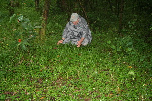  ( - BioBot11223)  @11 [ ] CreativeCommons - Attribution Non-Commercial Share-Alike (2010) Daniel H. Janzen Guanacaste Dry Forest Conservation Fund