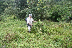  ( - BioBot11229)  @11 [ ] CreativeCommons - Attribution Non-Commercial Share-Alike (2010) Daniel H. Janzen Guanacaste Dry Forest Conservation Fund