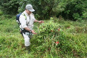  ( - BioBot11229)  @11 [ ] CreativeCommons - Attribution Non-Commercial Share-Alike (2010) Daniel H. Janzen Guanacaste Dry Forest Conservation Fund