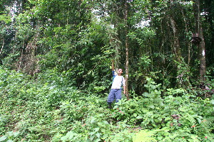  ( - BioBot11321)  @11 [ ] CreativeCommons - Attribution Non-Commercial Share-Alike (2010) Daniel H. Janzen Guanacaste Dry Forest Conservation Fund