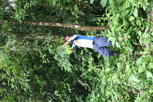  ( - BioBot11321)  @11 [ ] CreativeCommons - Attribution Non-Commercial Share-Alike (2010) Daniel H. Janzen Guanacaste Dry Forest Conservation Fund