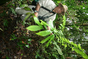  ( - BioBot11364)  @11 [ ] CreativeCommons - Attribution Non-Commercial Share-Alike (2010) Daniel H. Janzen Guanacaste Dry Forest Conservation Fund