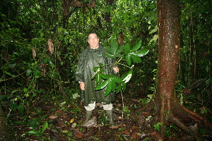  ( - BioBot11375)  @11 [ ] CreativeCommons - Attribution Non-Commercial Share-Alike (2010) Daniel H. Janzen Guanacaste Dry Forest Conservation Fund