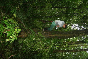  ( - BioBot11392)  @11 [ ] CreativeCommons - Attribution Non-Commercial Share-Alike (2010) Daniel H. Janzen Guanacaste Dry Forest Conservation Fund