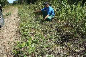  ( - BioBot11741)  @11 [ ] CreativeCommons - Attribution Non-Commercial Share-Alike (2010) Daniel H. Janzen Guanacaste Dry Forest Conservation Fund