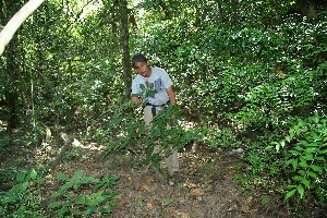  ( - BioBot11769)  @11 [ ] CreativeCommons - Attribution Non-Commercial Share-Alike (2010) Daniel H. Janzen Guanacaste Dry Forest Conservation Fund