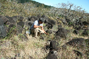  ( - BioBot11783)  @11 [ ] CreativeCommons - Attribution Non-Commercial Share-Alike (2010) Daniel H. Janzen Guanacaste Dry Forest Conservation Fund
