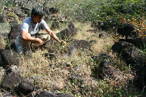  ( - BioBot11784)  @11 [ ] CreativeCommons - Attribution Non-Commercial Share-Alike (2010) Daniel H. Janzen Guanacaste Dry Forest Conservation Fund