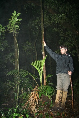  ( - BioBot11868)  @11 [ ] CreativeCommons - Attribution Non-Commercial Share-Alike (2010) Daniel H. Janzen Guanacaste Dry Forest Conservation Fund