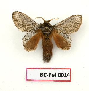  ( - BC-Fel0014)  @11 [ ] Unspecified (default): All Rights Reserved  Unspecified Unspecified