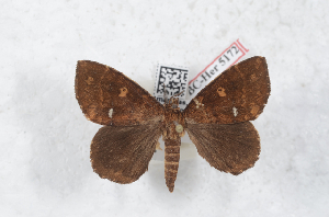  (Tarchon sp - Bc-Her5172)  @11 [ ] Unspecified (default): All Rights Reserved  Unspecified Unspecified