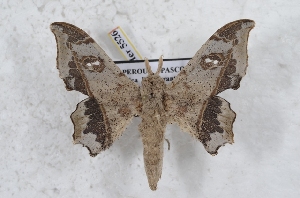  ( - Bc-Her5526)  @11 [ ] Unspecified (default): All Rights Reserved  Unspecified Unspecified