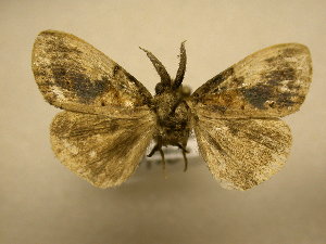  ( - 11-MISC-769)  @12 [ ] No Rights Reserved (2011) JB Sullivan Research Collection of J. B. Sullivan