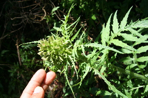  ( - BioBot10158)  @11 [ ] Copyright (2010) Unspecified Unspecified