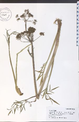  ( - 10PROBE-00680)  @11 [ ] No Rights Reserved (nrr) (2016) Unspecified University of Guelph